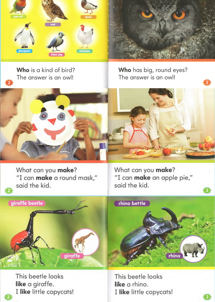 Scholastic 学乐英文入门关键字词 Nonfiction Sight Word Readers ABCD 4盒高频词读物科普科学绘本 100册全套 自然拼读初级盒装