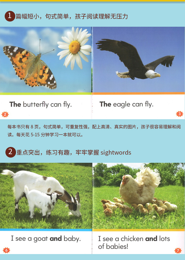 Scholastic 学乐英文入门关键字词 Nonfiction Sight Word Readers ABCD 4盒高频词读物科普科学绘本 100册全套 自然拼读初级盒装