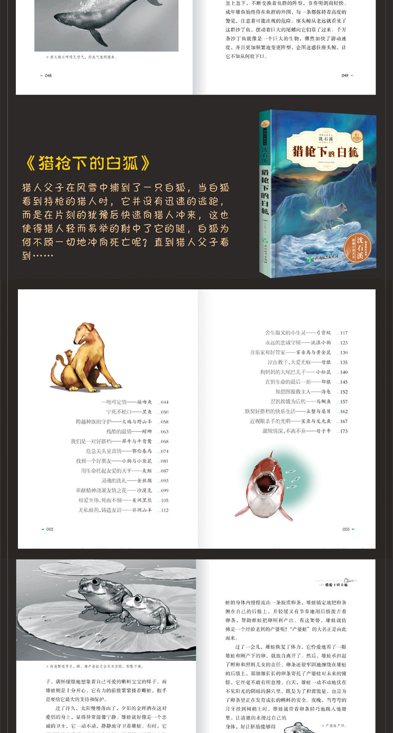新版沈石溪 动物小说 最后一头猛犸象 中小学生课外书畅销儿童书老师推荐三四五六年级经典读物 沈石溪动物小说系列