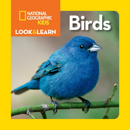 英文原版 National Geographic Kids Look and Learn Birds 美国国家地理 儿童百科书 儿童启蒙学习 纸板书