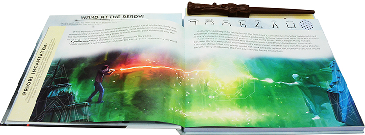 哈利波特巫师魔杖发音书 Harry Potter The Wand Chooses the Wizard  Harry Potter JK罗琳 英文原版小说读物