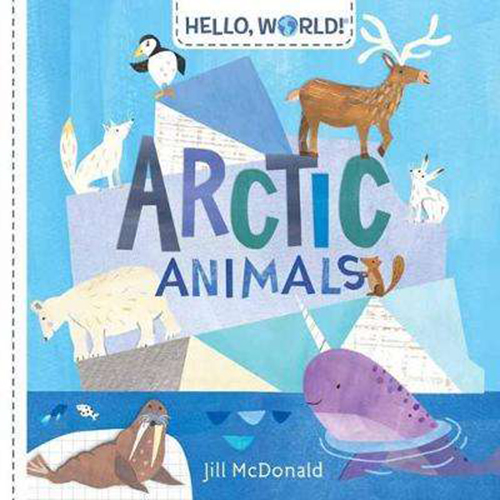 英文原版 Hello World 你好科学小世界 6册 纸板书 Pets/Arctic Animals/Moon Landing/Ocean Life 幼儿STEM启蒙图画书