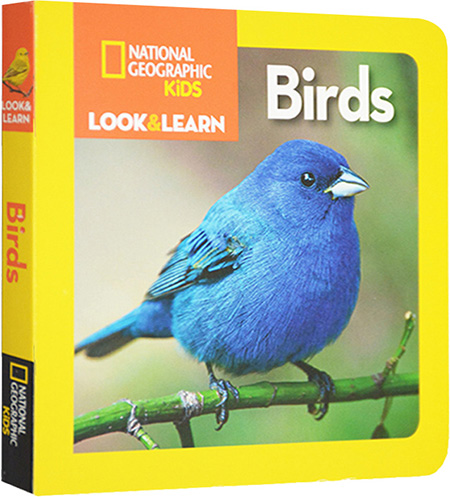 英文原版 National Geographic Kids Look and Learn Birds 美国国家地理 儿童百科书 儿童启蒙学习 纸板书