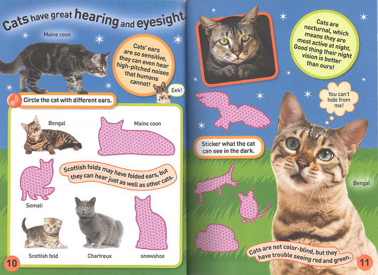 英文原版 National Geographic Kids Cats Sticker Activity Book美国国家地理含贴纸1000 儿童百科书 动物系列贴纸书