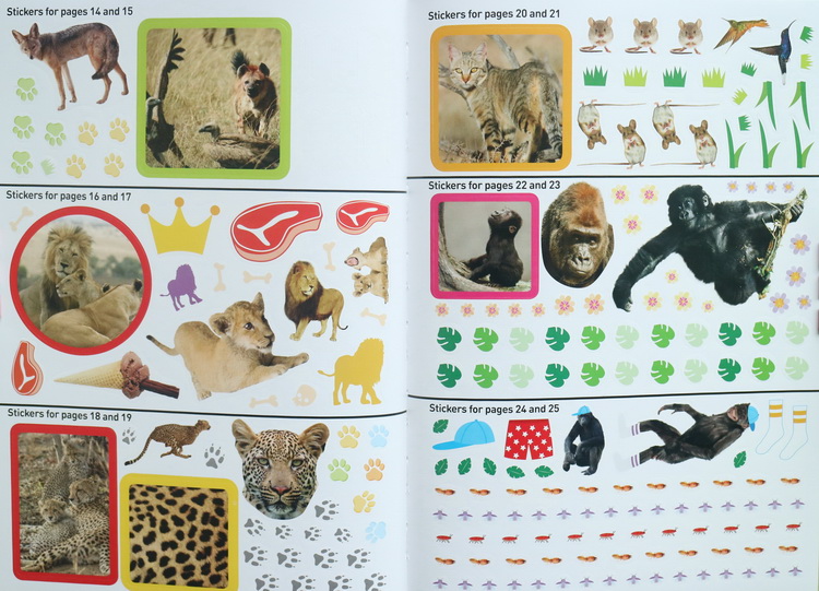 英文原版 美国国家地理 National Geographic Kids On Safari Sticker Activity Book 含1000个动物贴纸