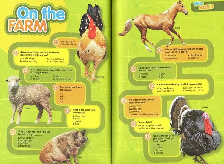 Quiz Whiz系列 国家地理儿童问答小测验 National Geographic Kids 英文原版 5册合售 英语启蒙认知科普知识 古怪趣事1000问
