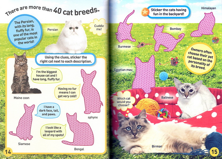 英文原版 National Geographic Kids Cats Sticker Activity Book美国国家地理含贴纸1000 儿童百科书 动物系列贴纸书
