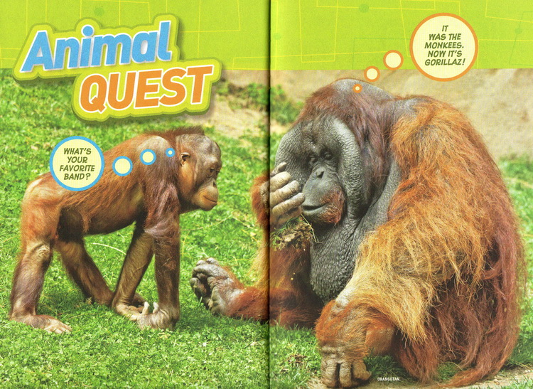 Quiz Whiz系列 国家地理儿童问答小测验 National Geographic Kids 英文原版 5册合售 英语启蒙认知科普知识 古怪趣事1000问