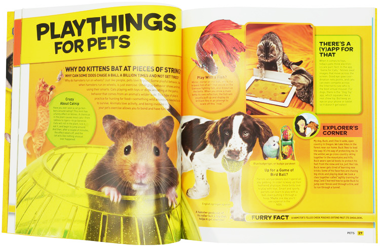 英文原版 National Geographic Kids Everything Robotics/Space/dogs 9册 美国国家地理 人文、历史、神话、动物自然百科科普绘本