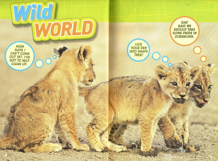 Quiz Whiz系列 国家地理儿童问答小测验 National Geographic Kids 英文原版 5册合售 英语启蒙认知科普知识 古怪趣事1000问