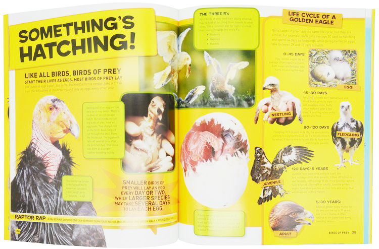 英文原版 National Geographic Kids Everything Robotics/Space/dogs 9册 美国国家地理 人文、历史、神话、动物自然百科科普绘本