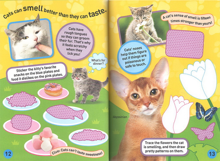 英文原版 National Geographic Kids Cats Sticker Activity Book美国国家地理含贴纸1000 儿童百科书 动物系列贴纸书