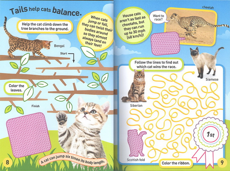 英文原版 National Geographic Kids Cats Sticker Activity Book美国国家地理含贴纸1000 儿童百科书 动物系列贴纸书