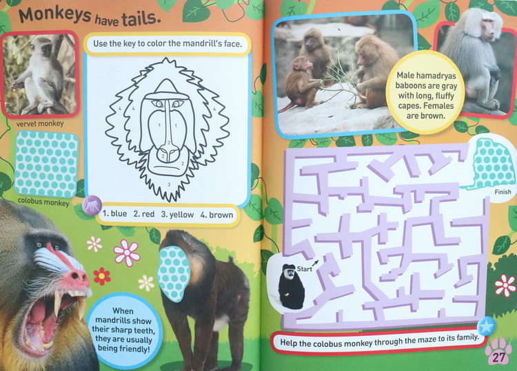 英文原版 美国国家地理 National Geographic Kids On Safari Sticker Activity Book 含1000个动物贴纸