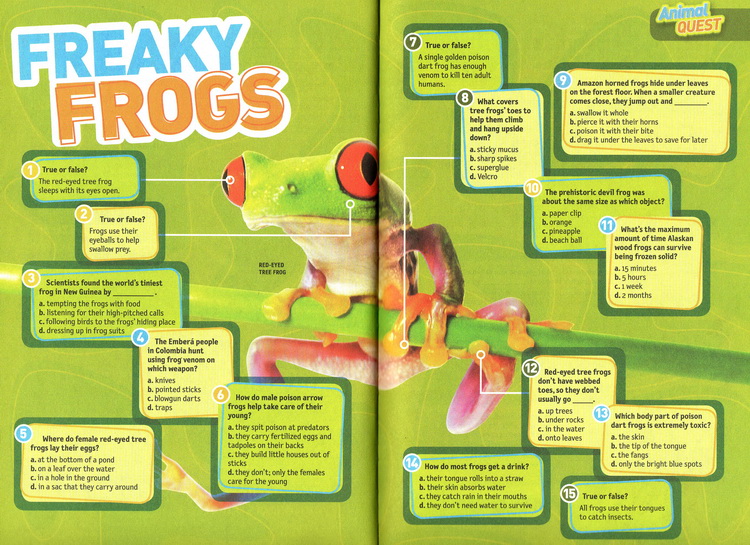 Quiz Whiz系列 国家地理儿童问答小测验 National Geographic Kids 英文原版 5册合售 英语启蒙认知科普知识 古怪趣事1000问