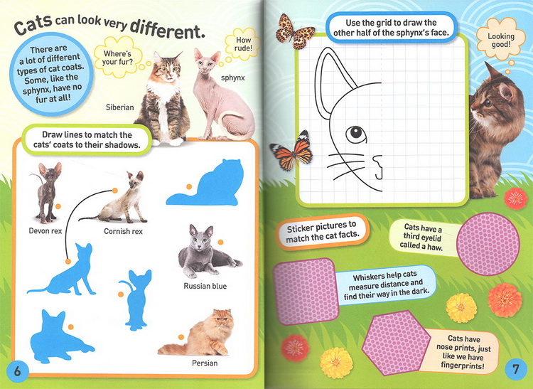英文原版 National Geographic Kids Cats Sticker Activity Book美国国家地理含贴纸1000 儿童百科书 动物系列贴纸书