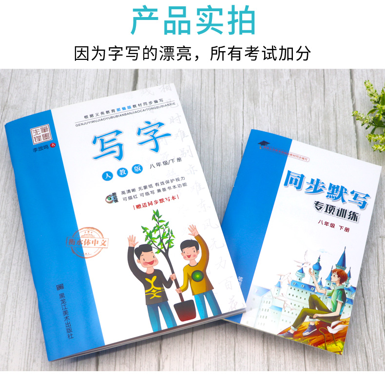 初中写字字帖八年级下册 人教版RJ 李放鸣 楷书正楷 笔墨先锋 8八下语文书教材同步硬笔书法辅导练习册书籍 中学生成人钢笔练字帖