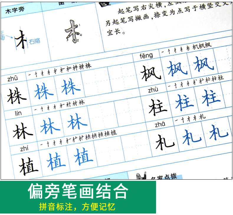 从零起步学写字 楷书 偏旁部首 初学者入门 高中大学生字体练习册 学生成人硬笔钢笔书法练字本 男生女生速成 李放鸣字帖 笔墨先锋