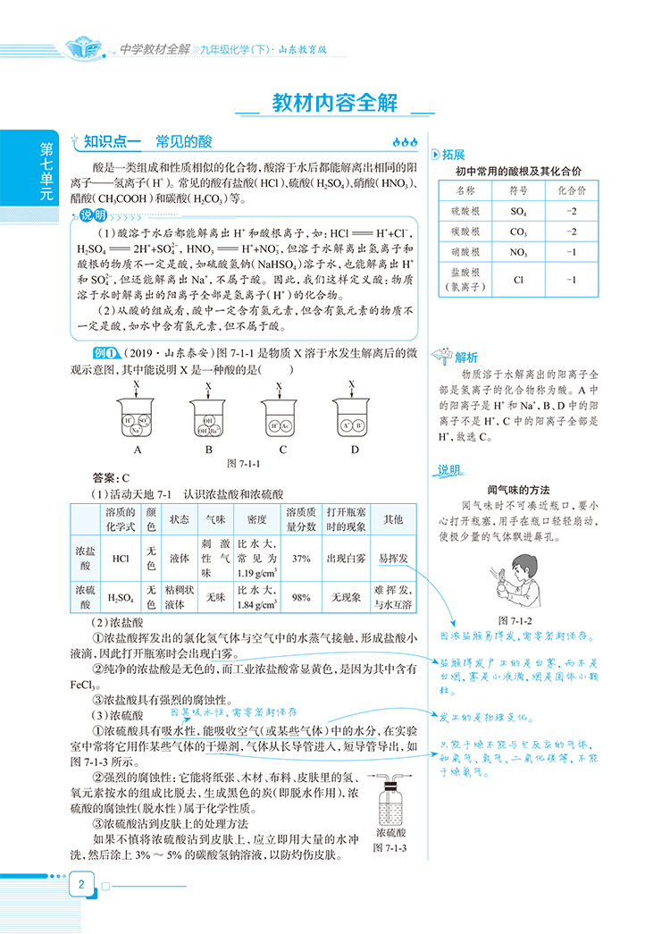 新版 2020春中学教材全解 九年级下册化学 鲁教版LJ 薛金星教辅工具书 金星教育初三9年级下课本教材同步解析辅导资料 山东教育版