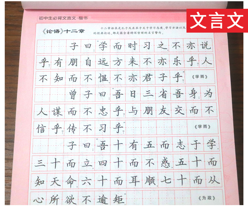 初中生练字帖 必背古诗词+文言文2本 李放鸣钢笔楷书字帖 初一初二初三钢笔楷书蒙纸临摹成人语文书法练习 笔墨先锋七八九年级