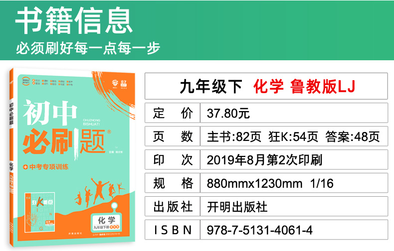 2020版初中必刷题九年级下册化学 鲁教版 67理想树初中化学同步知识点复习练习册 初三中考真题辅导资料书 山东教育出版社