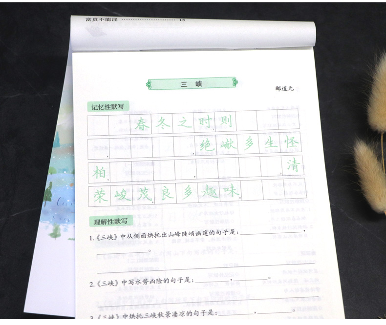 初中生练字帖8八年级上册 人教版RJ 李放鸣 语文教材同步练习册 写字课课练 钢笔楷书正楷成人临摹练字字帖 中学生硬笔书法练习