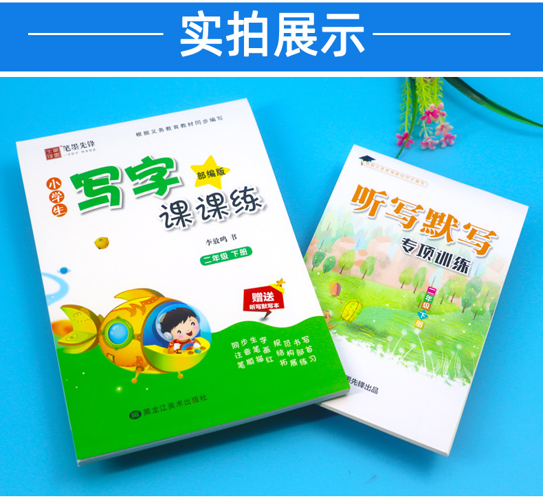 部编版 小学生写字课课练二年级下册 人教版RJ 语文教材同步练习册 李放鸣铅笔硬笔钢笔楷书正楷字帖 笔墨先锋临摹练字帖