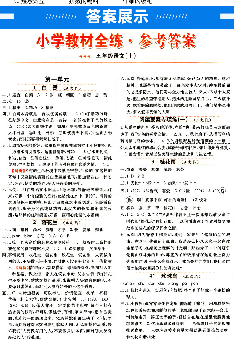 2020秋小学教材全练五年级上册全套2本 语文人教版 数学西南师大版 薛金星小学课本同步训练练习册西师版  附单元期中期末测试卷