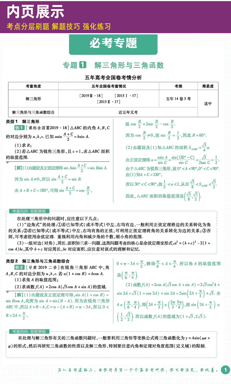 文数大题2020版 高考必刷题分题型强化专项训练解答题文科数学 全国卷通用版 理想树6.7自主复习高三高考总复习教辅辅导资料书