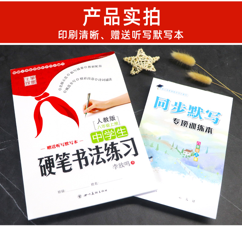 初中生练字帖8八年级上册 人教版RJ 李放鸣 语文教材同步练习册 写字课课练 钢笔楷书正楷成人临摹练字字帖 中学生硬笔书法练习