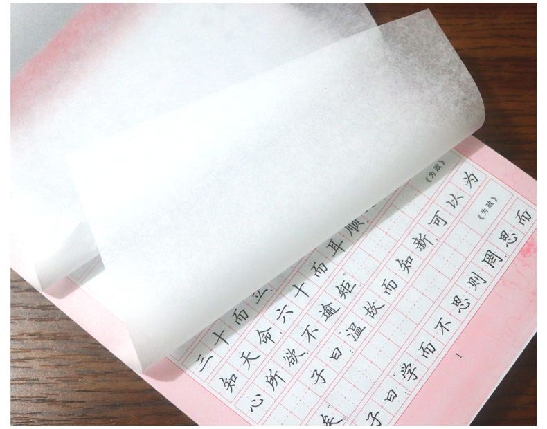 初中生练字帖 必背古诗词+文言文2本 李放鸣钢笔楷书字帖 初一初二初三钢笔楷书蒙纸临摹成人语文书法练习 笔墨先锋七八九年级
