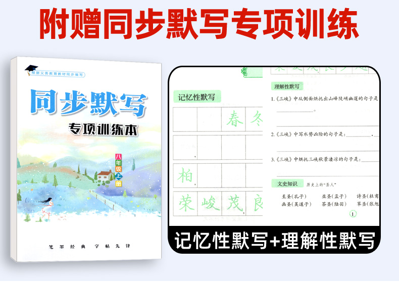 初中生练字帖8八年级上册 人教版RJ 李放鸣 语文教材同步练习册 写字课课练 钢笔楷书正楷成人临摹练字字帖 中学生硬笔书法练习