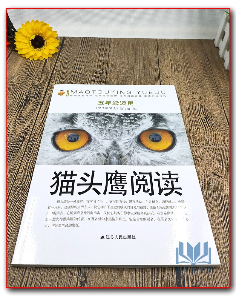 猫头鹰阅读五年级上下册小学生教辅练习册语文课外现代文古诗文阅读理解语文阅读训练快速提优小学生5年级语文课外现代文阅读理解