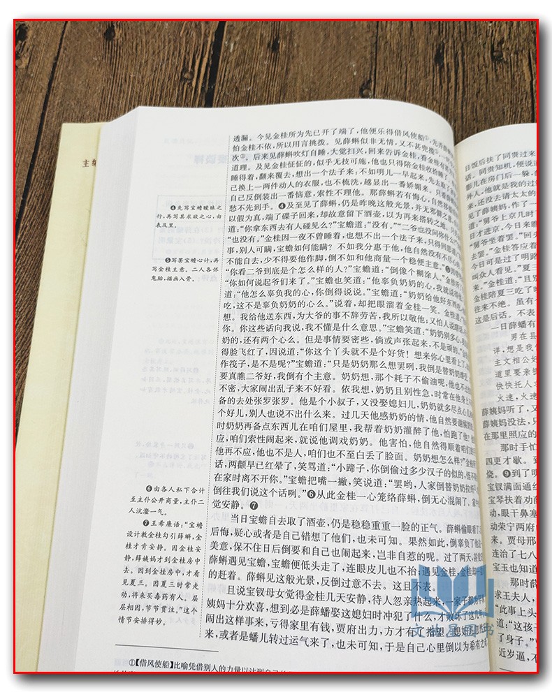 恩波教育 红楼梦备考版详评详注 原著曹雪芹 且读且练且提优 高中语文附加分名著 红楼梦 导读 南京大学出版社