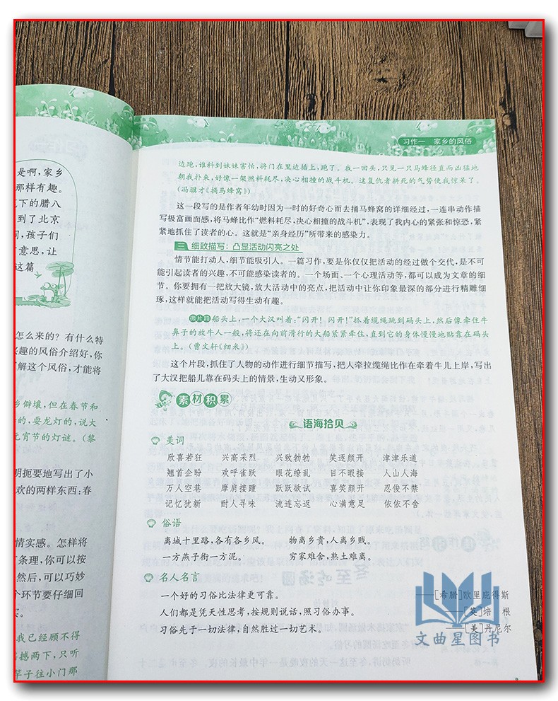2020春新版春雨教育同步作文六年级下册语文人教版部编版6/六年级下春雨杯小学生有奖征文指定用书语文日记阅读写作看图写话训练