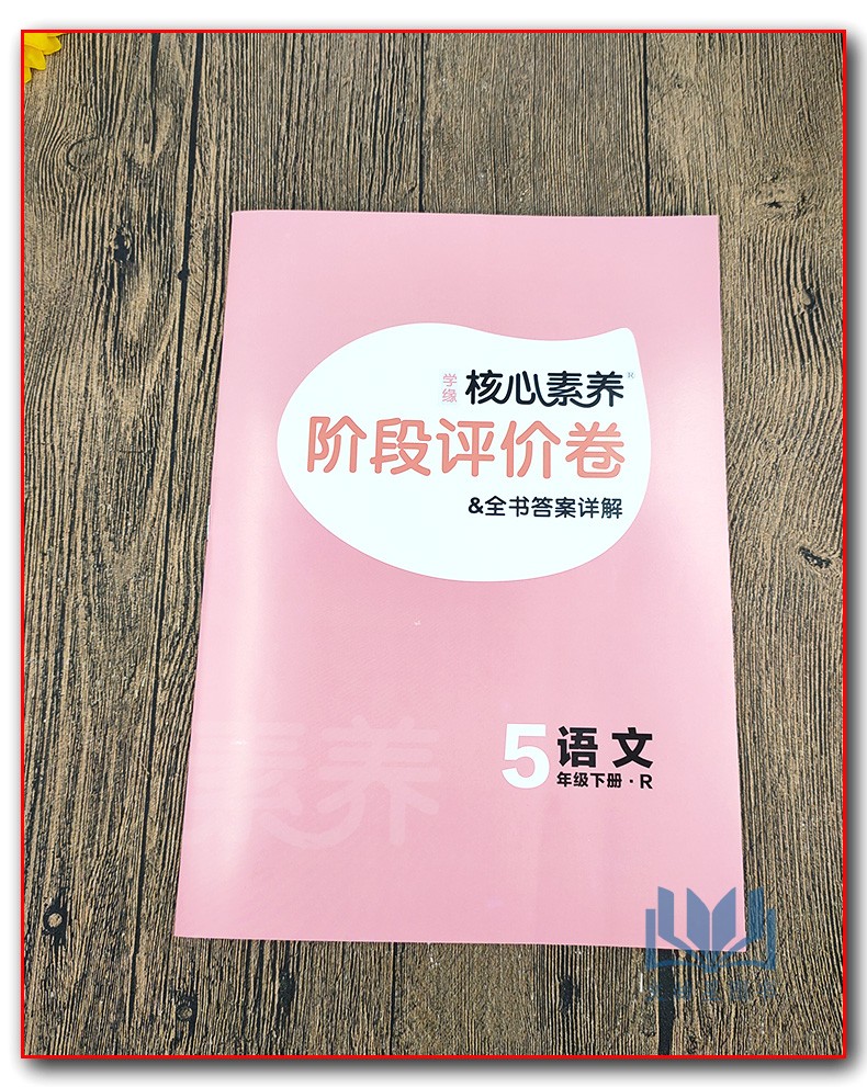 2020年春核心素养天天练 五年级下册语文部编版人教版R小学5年级下同步训练辅导资料全彩设计 素养提升课时练重点练阶段测层层递进