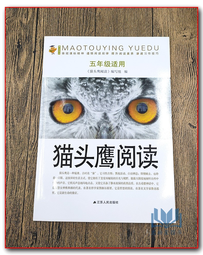 猫头鹰阅读五年级上下册小学生教辅练习册语文课外现代文古诗文阅读理解语文阅读训练快速提优小学生5年级语文课外现代文阅读理解