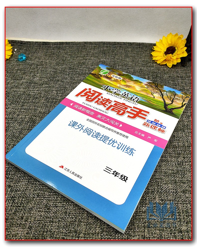 2020年春雨教育 实验班小学英语阅读高手 课外阅读提优训练 3年级三年级上下册80篇新课标 阅读新概念 美文大闯关课时课外阶梯阅读