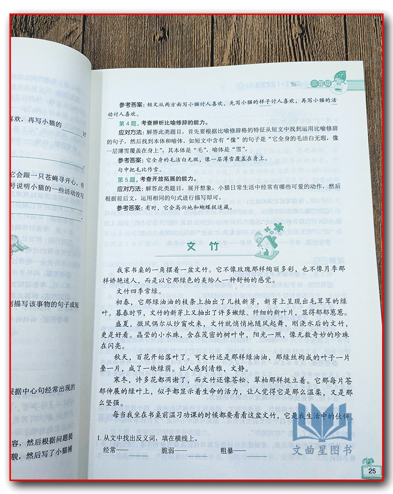 方洲新概念名师手把手小学语文 阅读2+1 强化训练80篇3年级三年级名师教你阅读方法快速提高语文成绩基础能力篇强化提分篇方法辅导