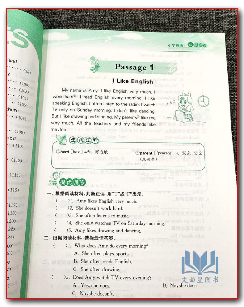 2020年春雨教育 实验班小学英语阅读高手 课外阅读提优训练 3年级三年级上下册80篇新课标 阅读新概念 美文大闯关课时课外阶梯阅读