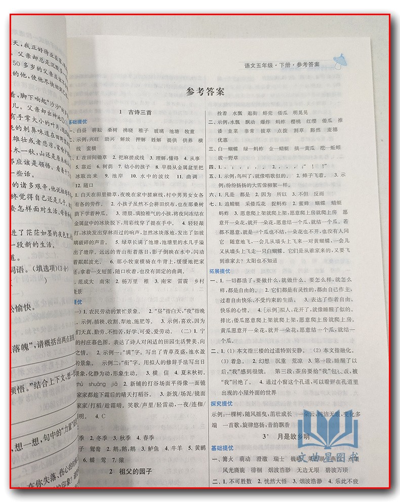 2020年春五年级下册 提优训练课课练语文国标部编版人教版  金钥匙 5年级下册 小学生教辅书练习册同步教材提优训练基础能力提优