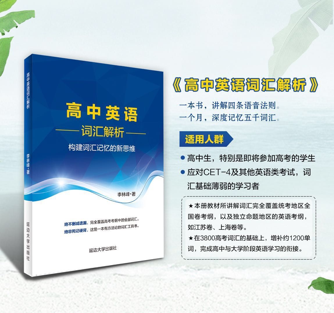 高中英语 词汇解析+英语框架+英语思维 解密英语语法的原理  构建词汇记忆的新思维 李林峰 高中英语分词分类记忆表当天看当天提分