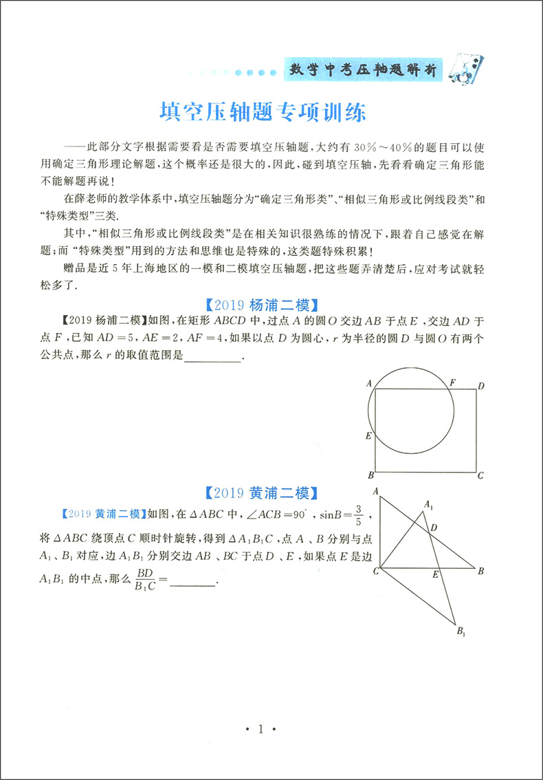 正版现货 鹿贝思 数学中考 压轴题解析 上海版 初一初二初三适用 中考数学压轴题 初三中考数学一模二模试题解析 挑战中考压轴题