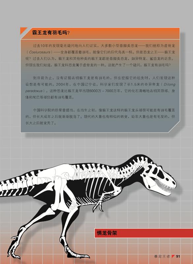 正版恐龙星球揭秘史前巨型杀手修订版恐龙知识恐龙百科
