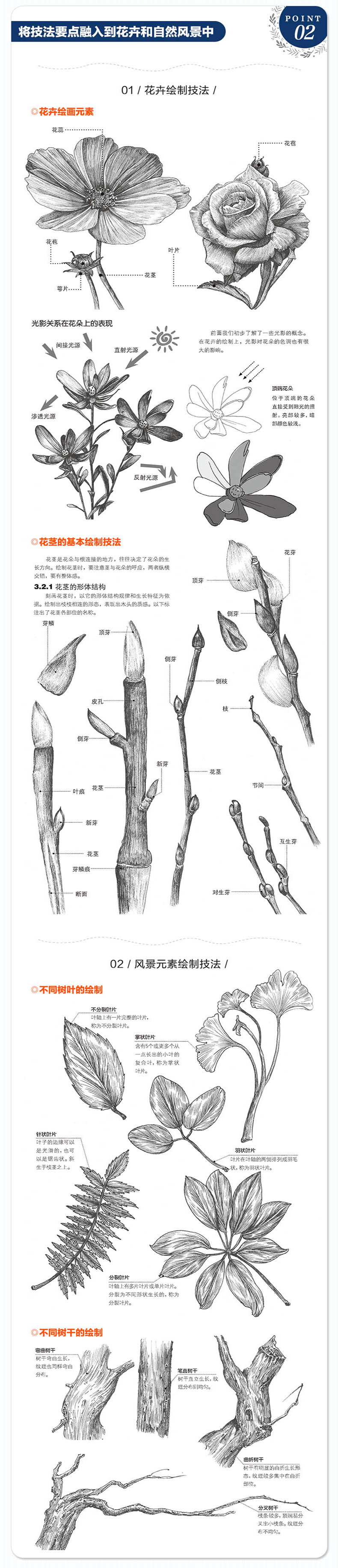 正版钢笔画技法入门宝典钢笔画教程花卉建筑风景绘画技法零基础美术