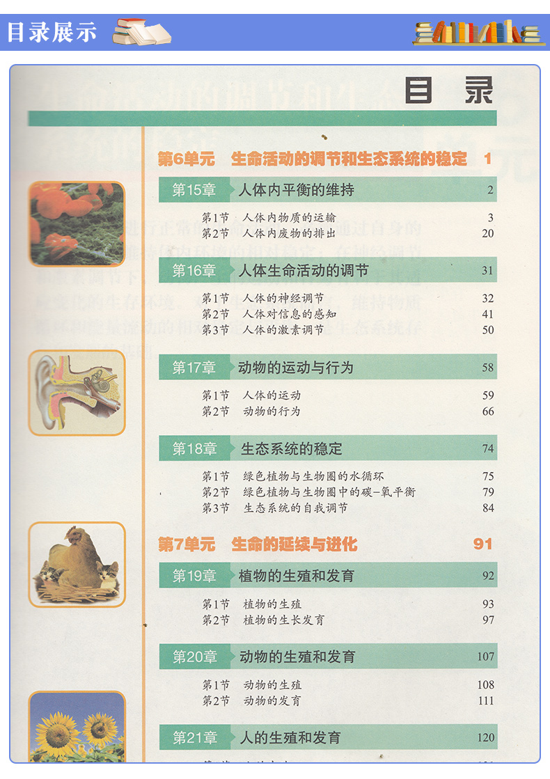 正版包邮 2020年适用八年级上册生物书苏科版 初中课本教材教科书8年级上册初二上册江苏凤凰科学技术出版社 苏科版八年级上册生物