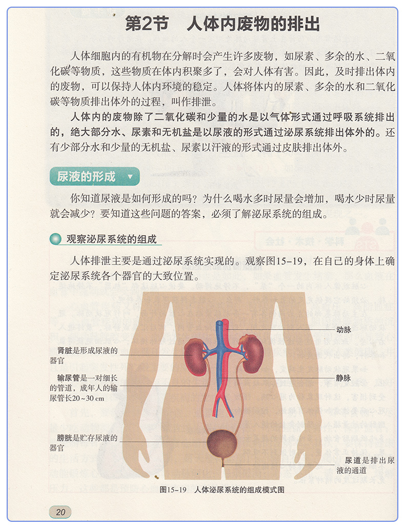 正版包邮 2020年适用八年级上册生物书苏科版 初中课本教材教科书8年级上册初二上册江苏凤凰科学技术出版社 苏科版八年级上册生物