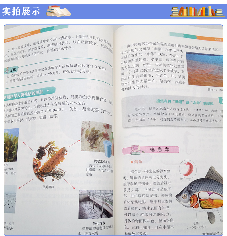 正版包邮2020适用苏教版 苏科版 七年级下册 7年级下册生物学下册 生物书江苏科学技术出版社生物学七年级下册苏科版生物学书课本