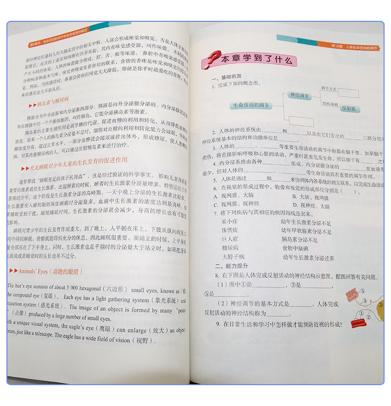 正版包邮 2020年适用八年级上册生物书苏科版 初中课本教材教科书8年级上册初二上册江苏凤凰科学技术出版社 苏科版八年级上册生物