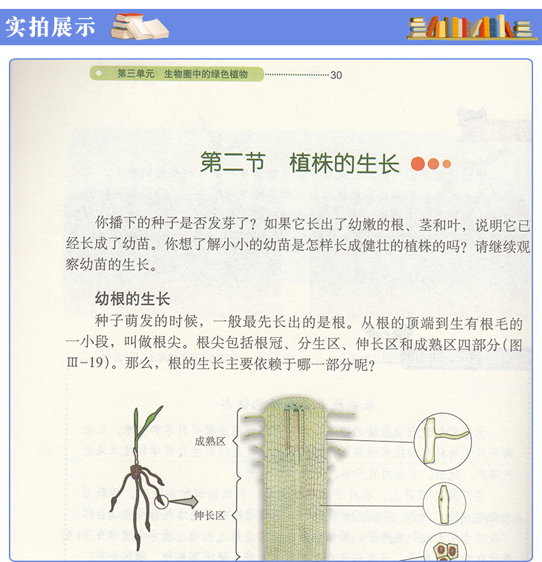 五四制2020鲁科版六年级下册生物书54制生物6下课本山东科学技术出版社初一生物下册义务教育教科书五四学制生物学六年级下册教材